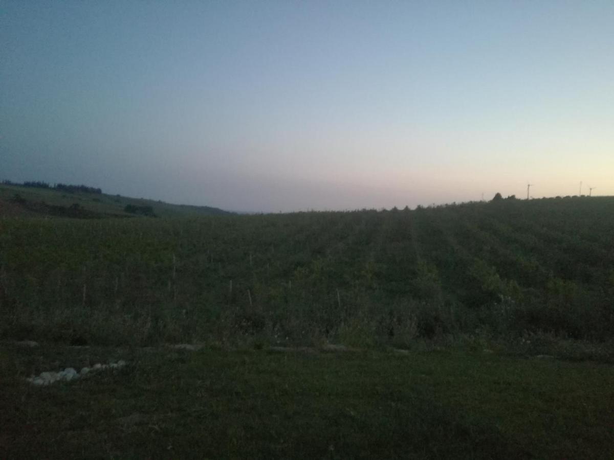 Willa Casa Chardonnay Menfi Zewnętrze zdjęcie